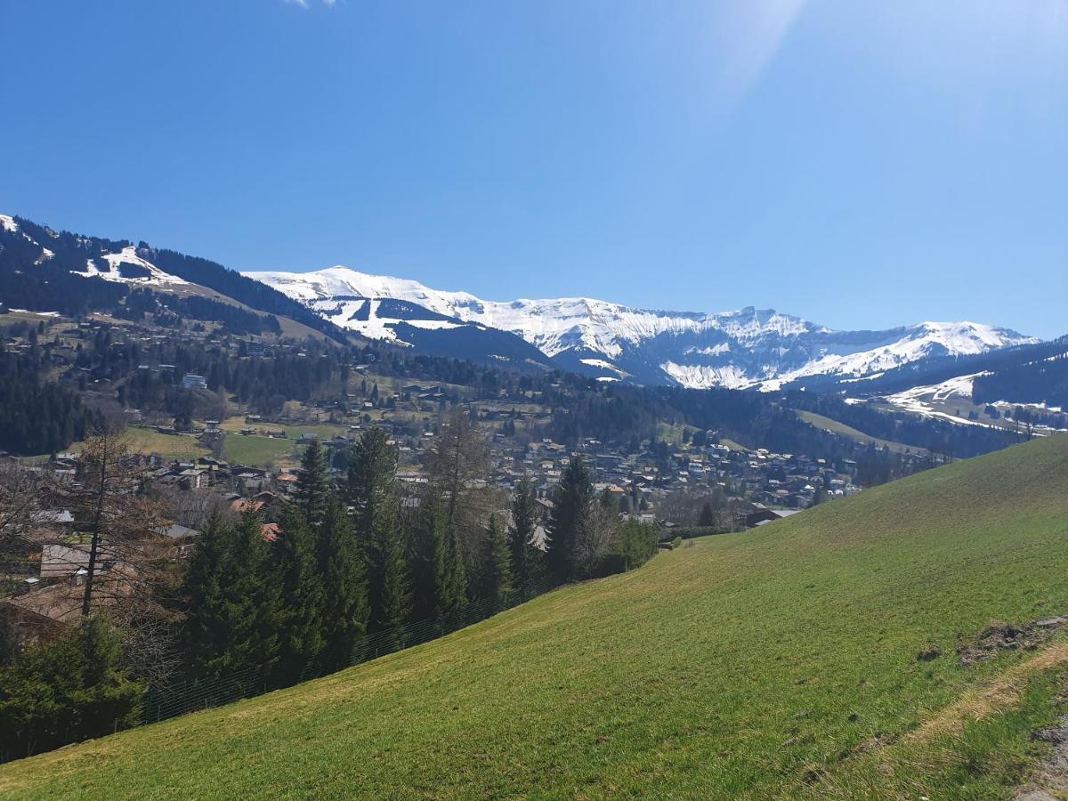 Le Chalet Blanc 메게브 외부 사진